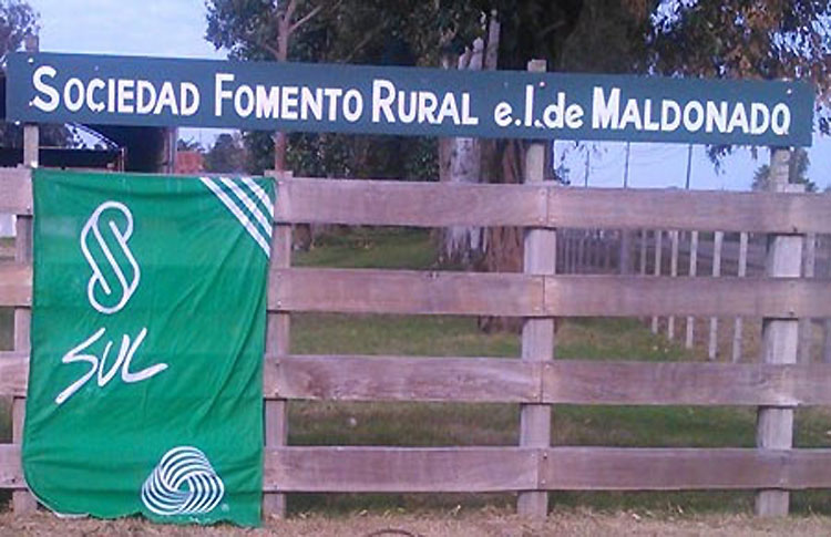 Sociedad-Fomento-e-I-Maldonado