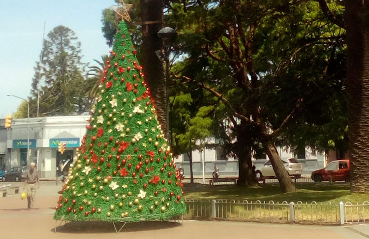 Arbol-Plaza