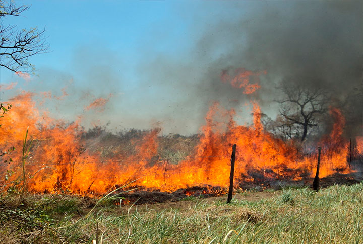 incendios-forestales