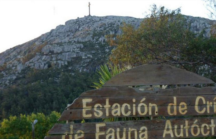 Cerro-Pan-de-Azucar