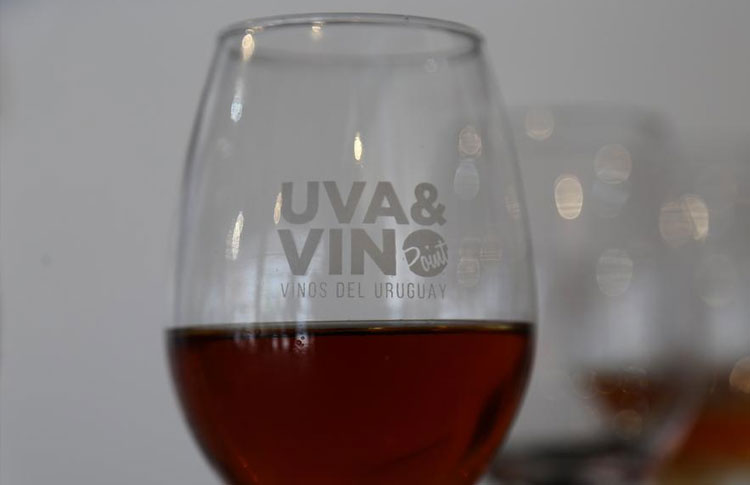 Uva-y-vino